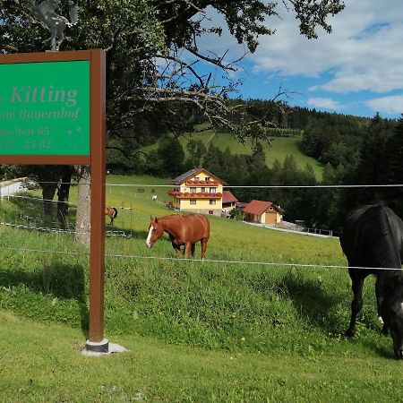 Villa Urlaub Am Bauernhof Familie Kitting Vorau Exterior foto