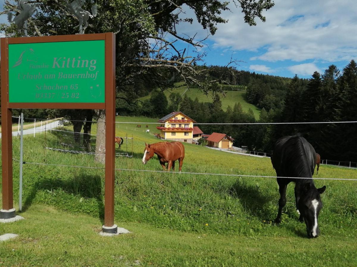 Villa Urlaub Am Bauernhof Familie Kitting Vorau Exterior foto